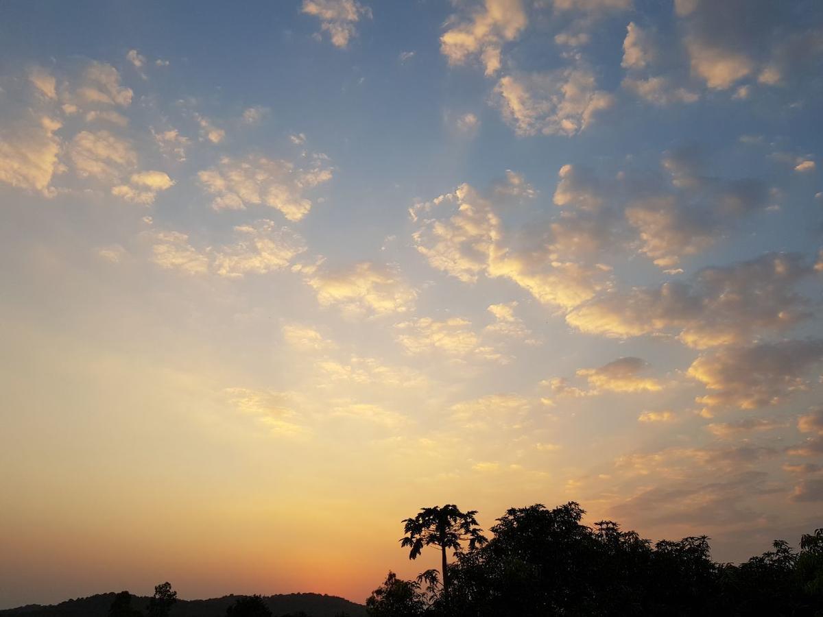 Hiran Holidays Sasan Gir Buitenkant foto