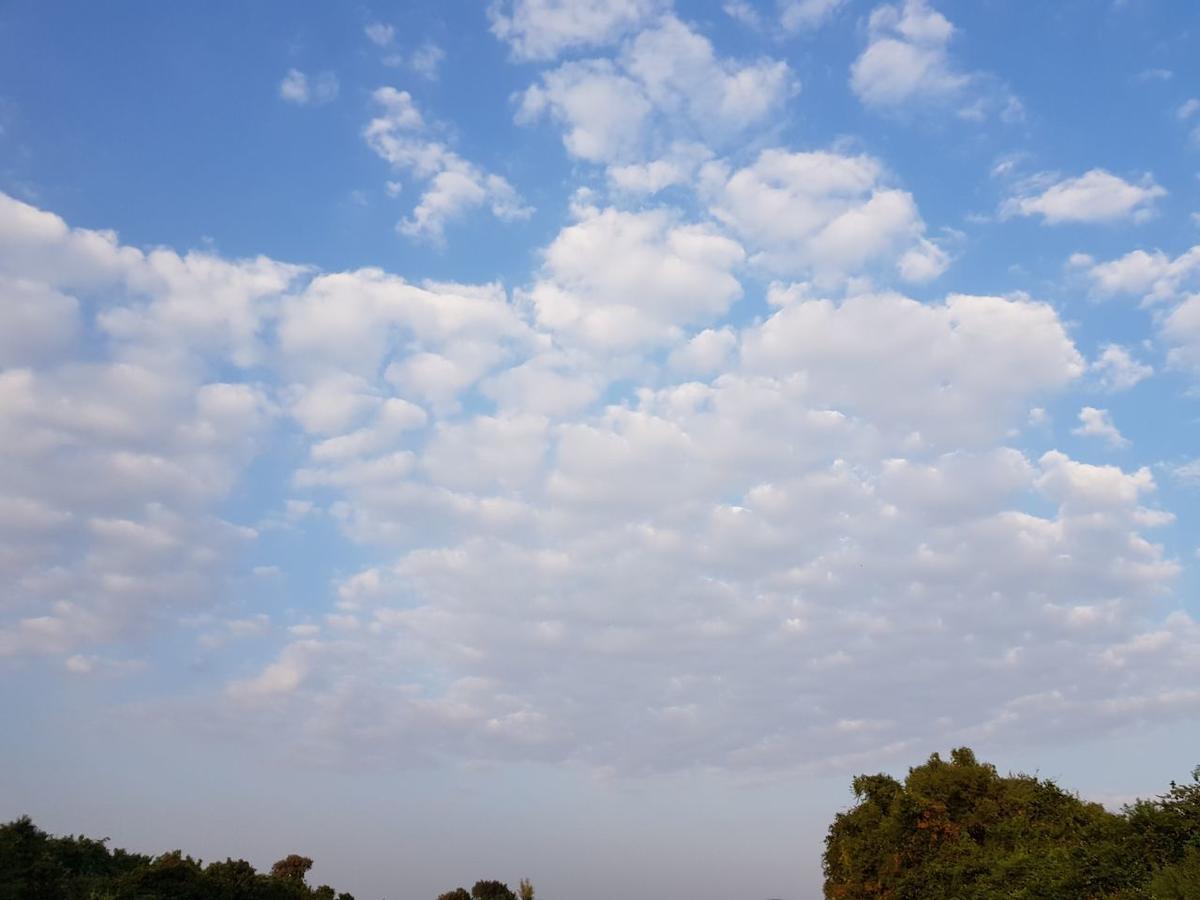 Hiran Holidays Sasan Gir Buitenkant foto