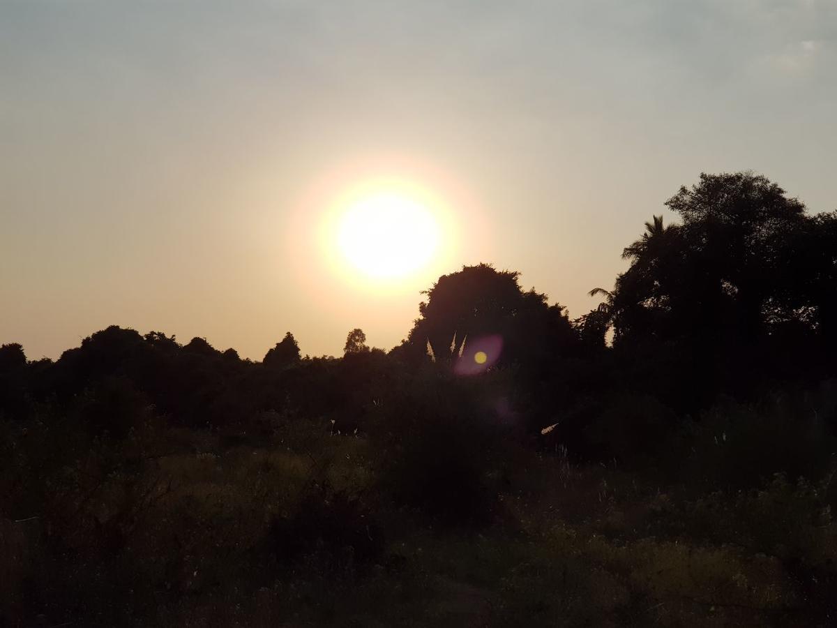 Hiran Holidays Sasan Gir Buitenkant foto