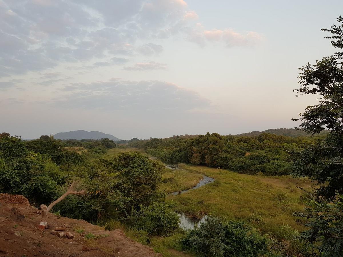 Hiran Holidays Sasan Gir Buitenkant foto